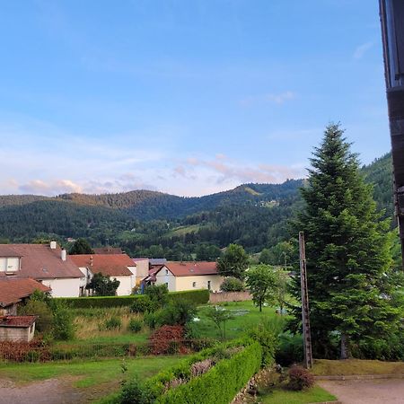 Appartement Chaleureux Au Coeur Des Hautes Vosges Ventron Exterior photo
