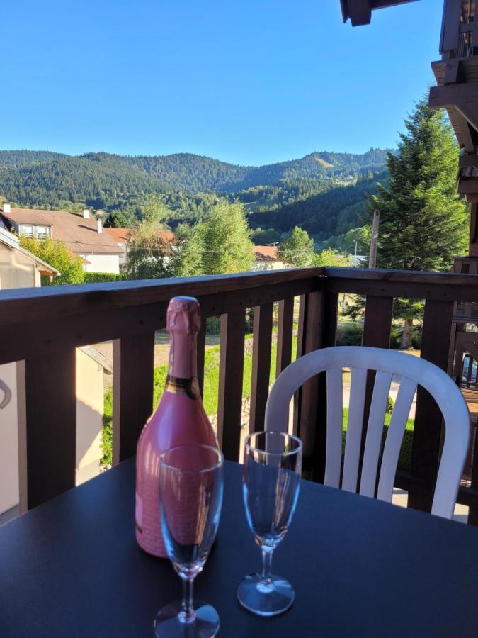 Appartement Chaleureux Au Coeur Des Hautes Vosges Ventron Exterior photo