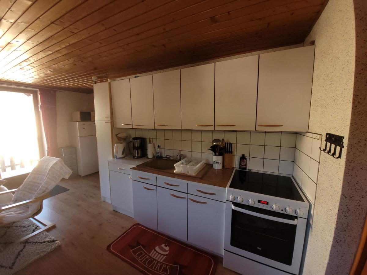 Appartement Chaleureux Au Coeur Des Hautes Vosges Ventron Exterior photo